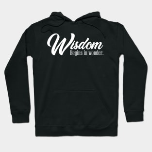 'Wisdom Begins In Wonder' Radical Kindness Shirt Hoodie